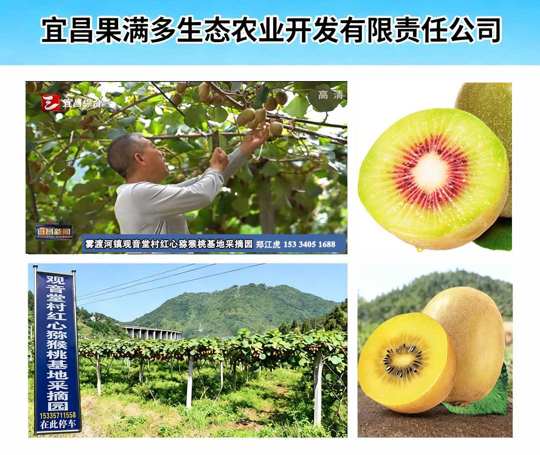 公司形象
