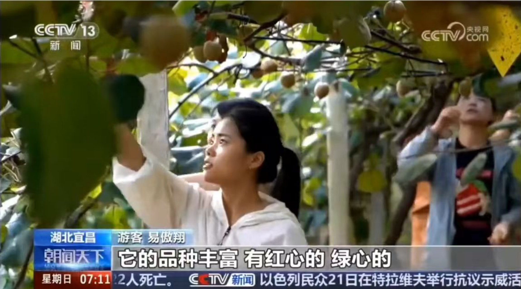 中央电视台采访