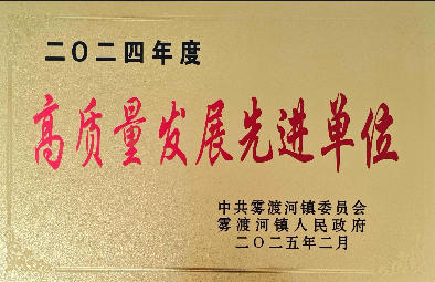 高质量发展先进单位