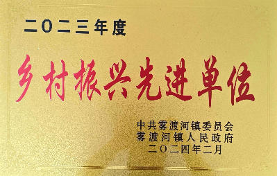 乡村振兴先进单位