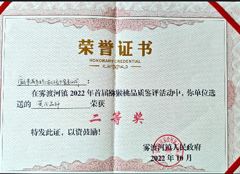 黄心猕猴桃二等奖