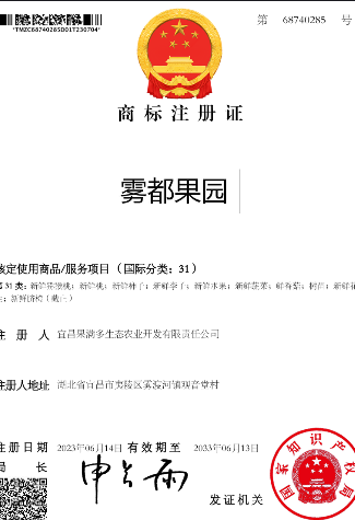雾都果园商标