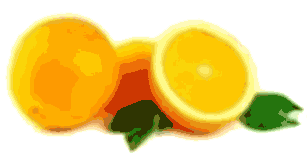 橙子